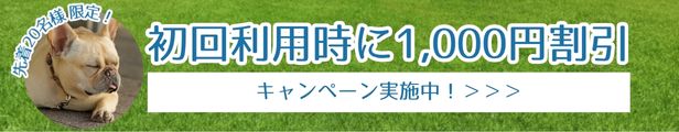 初回利用時1000円割引